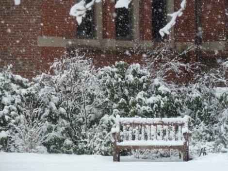 A snowy bench waits silently in the Jefferson Market Library Garden.
