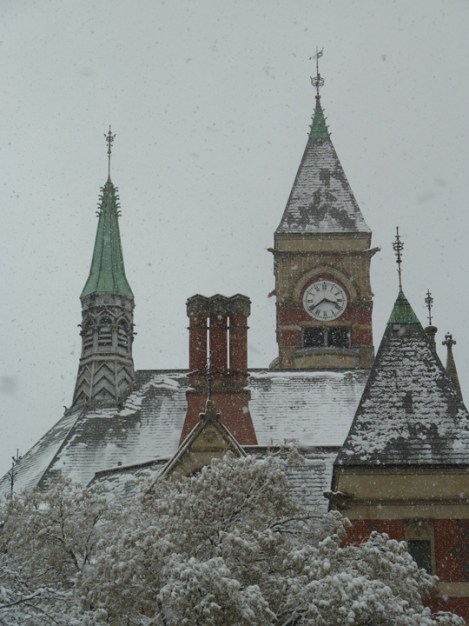 The treetops in the Jefferson Market Library Garden and the rooftops of Jefferson Market Library.