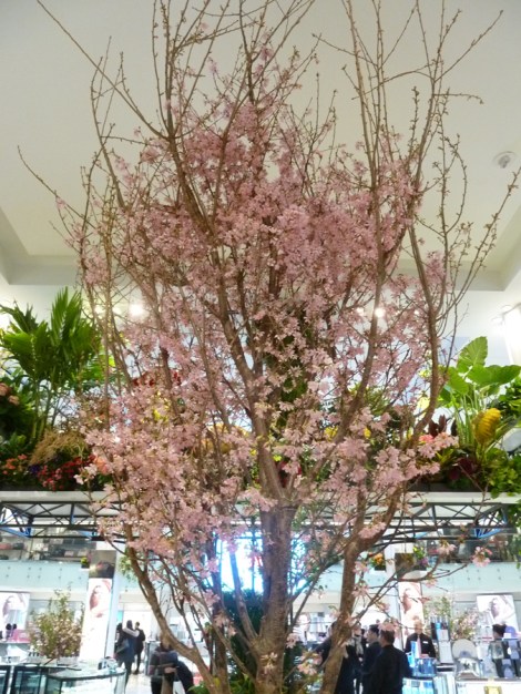 Macy’s Flower Show, Spring