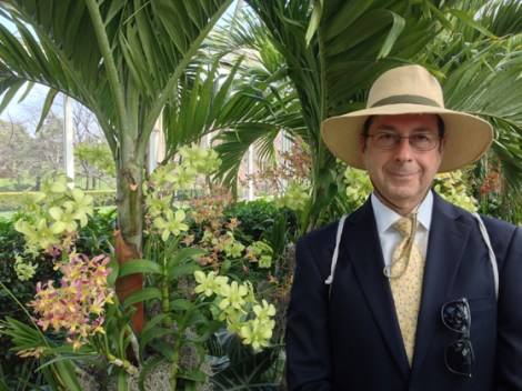 New York Botanical Garden, Orchid Show, Bronx, flowers, Spring, annual