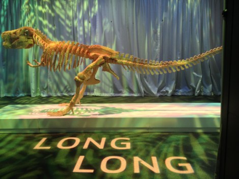 Lego, Nathan Sawaya, Discovery Center, Times Square, dinosaur