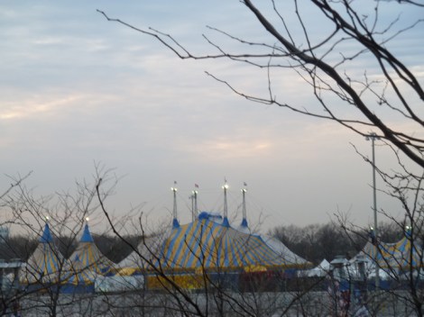 Cirque du Soleil, circus tents, Amaluna