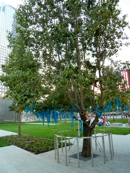 9/11, Memorial Museum, World Trade Center, Michael Arad, Survivor Tree