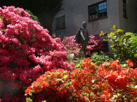 Azalea, Flowers, Green-Wood Cemetery, Cervantes, St Luke’s In-The-Field