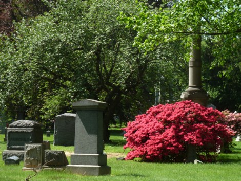 Azalea, Flowers, Green-Wood Cemetery, Cervantes, St Luke’s In-The-Field