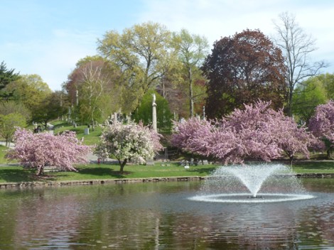 Green-Wood Cemetery, a National Historic Landmark, Brooklyn, Kwanzan cherry tree blossoms, guided tours, trolley tours