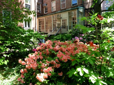 Azalea, Flowers, Green-Wood Cemetery, Cervantes, St Luke’s In-The-Field