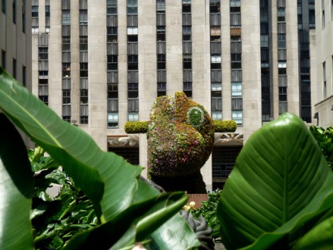 “Split-Rocker” peeks through the foliage in the Channel Gardens.