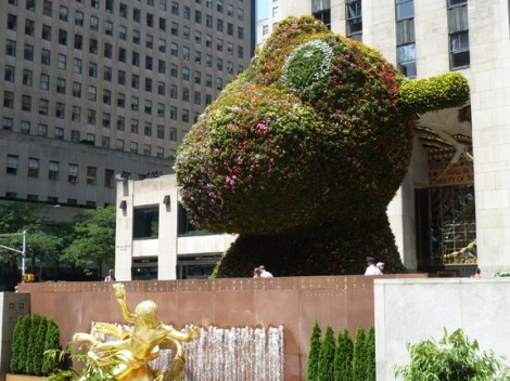 Jeff Koons, Rockefeller Plaza, Rockefeller Center, 30 Rock, Split-Rocker, Whitney Museum of American Art, Topiary