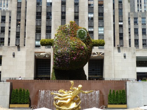 Jeff Koons, Rockefeller Plaza, Rockefeller Center, 30 Rock, Split-Rocker, Whitney Museum of American Art, Topiary