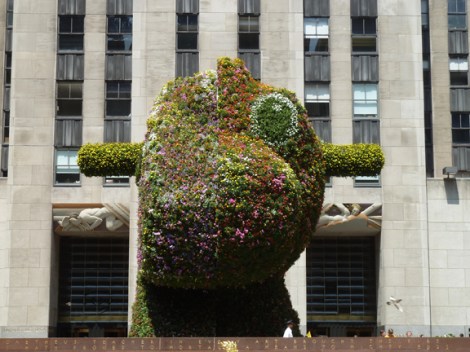 Jeff Koons, Rockefeller Plaza, Rockefeller Center, 30 Rock, Split-Rocker, Whitney Museum of American Art, Topiary