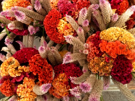 Autumn, Fall, Farmers Market, Union Square, Five Squares and a Circle Tour, Pumpkins, Gourds, Sunflowers, Mums, Autumn Equinox, e.e. cummings, Henry David Thoreau, George Eliot