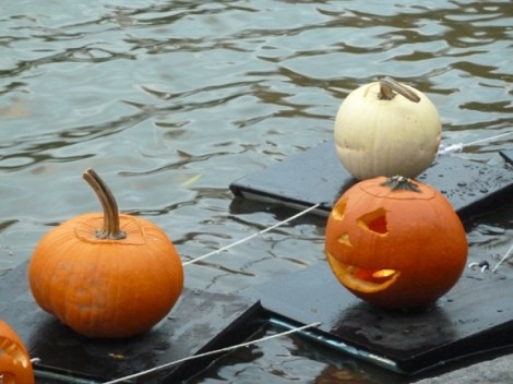 Central Park, Pumpkins, Central Park Conservancy, Halloween, Jack O’ Lantern, Pumpkin Flotilla, Kayak, Harlem Meer, Witch
