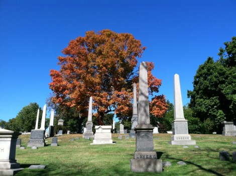Gay Graves Tour, Green-Wood Cemetery, Brooklyn, Autumn, Fall, Acorns, Blue Sky, Cloudless Sky