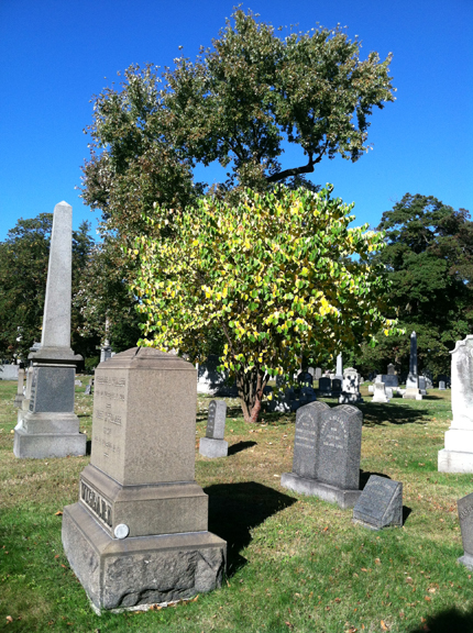 Gay Graves Tour, Green-Wood Cemetery, Brooklyn, Autumn, Fall, Acorns, Blue Sky, Cloudless Sky