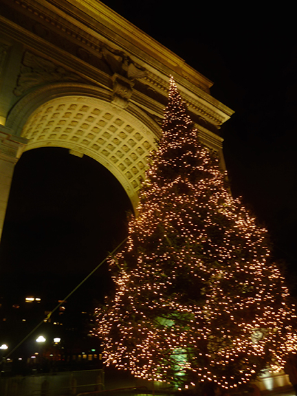 Christmas Tree, Greenwich Village, Washington Square Park, Washington Arch, Rockefeller Center, Tree Lighting Ceremony, Christmas Tree Tradition