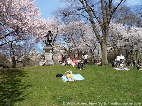 Central Park, John Quincy Adams Ward, Central Park Walking Tour, New York, Cherry Trees, Bronze, Granite, Richard Morris Hunt, Spring, Flowers, Walk About New York, Pilgrim, Puritan, New England Society, 1885