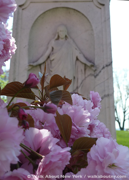 Gay Graves Tour, Green-Wood Cemetery, Kwanzan Cherry Tree, Blooms, Blossoms, Pink, Showy, Cemetery, Cherry Tree, Spring