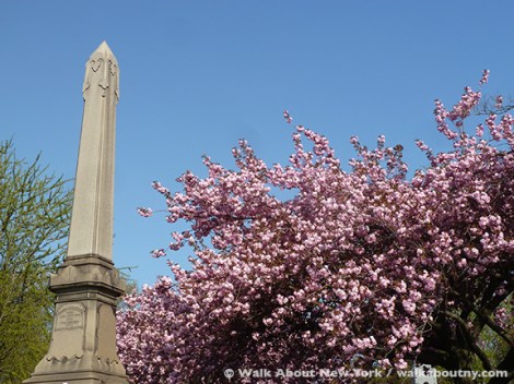 Gay Graves Tour, Green-Wood Cemetery, Kwanzan Cherry Tree, Blooms, Blossoms, Pink, Showy, Cemetery, Cherry Tree, Spring