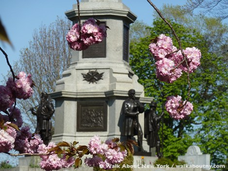 Gay Graves Tour, Green-Wood Cemetery, Kwanzan Cherry Tree, Blooms, Blossoms, Pink, Showy, Cemetery, Cherry Tree, Spring