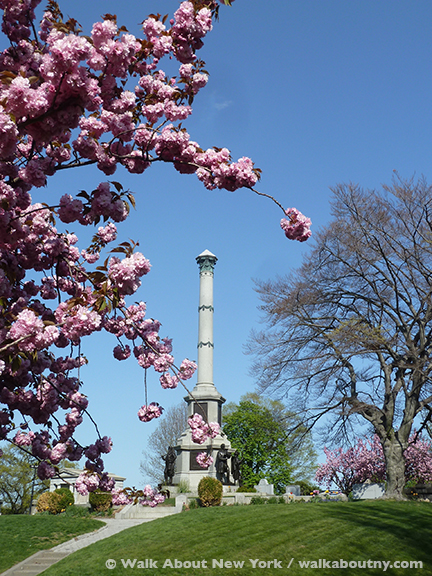 Gay Graves Tour, Green-Wood Cemetery, Kwanzan Cherry Tree, Blooms, Blossoms, Pink, Showy, Cemetery, Cherry Tree, Spring