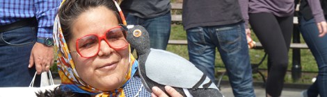 Pigeons, Tina Trachtenburg, Washington Square, Union Square, Felt, Sculptural Art, Rats with Wings, Rats