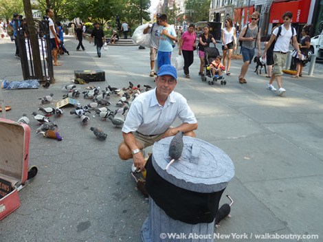 Pigeons, Tina Trachtenburg, Washington Square, Union Square, Felt, Sculptural Art, Rats with Wings, Rats
