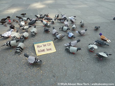 Pigeons, Tina Trachtenburg, Washington Square, Union Square, Felt, Sculptural Art, Rats with Wings, Rats