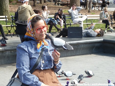 8WashSqFakePigeons11