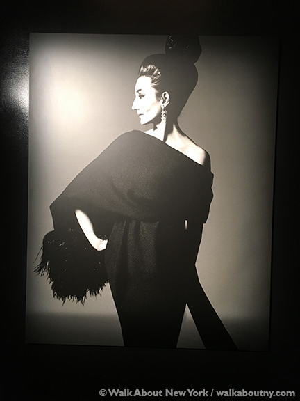 Jacqueline de Ribes, Costume Institute, Metropolitan Museum of Art, Haute Couture, Ready-to-Wear, French, Countess, Dresses, Gowns, Costume Balls