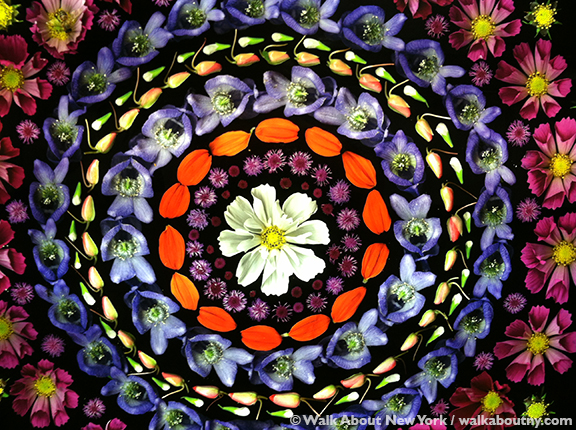 Bryant Blooms | walkaboutny