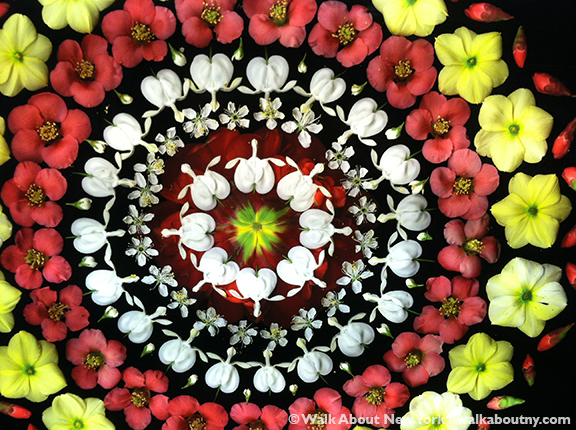 Bryant Blooms | walkaboutny