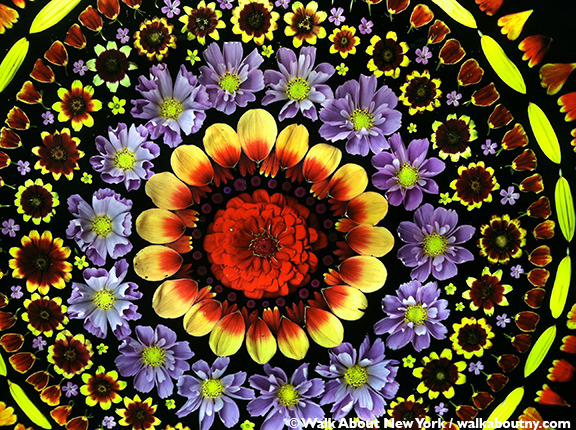 Bryant Blooms | walkaboutny