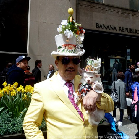 Easter Parade, Easter Bonnet, Easter Bunny, Fifth Avenue, Easter Sunday, Rockefeller Center, St. Patrick’s Cathedral, St. Patrick’s, Walk About New York, Cheeseheads