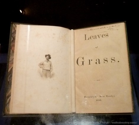 Gay Pride, New York Public Library, New York City, NYC, Stonewall, Stonewall Uprising, Stonewall Anniversary, Stonewall Inn, Christopher Street, Gay Power, Mattachine Society, Libraries, LGBTQ, Gay History, Walt Whitman