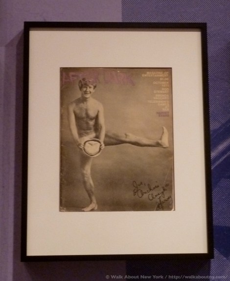 Gay Pride, New York Public Library, New York City, NYC, Stonewall, Stonewall Uprising, Stonewall Anniversary, Stonewall Inn, Christopher Street, Gay Power, Mattachine Society, Libraries, LGBTQ, Gay History